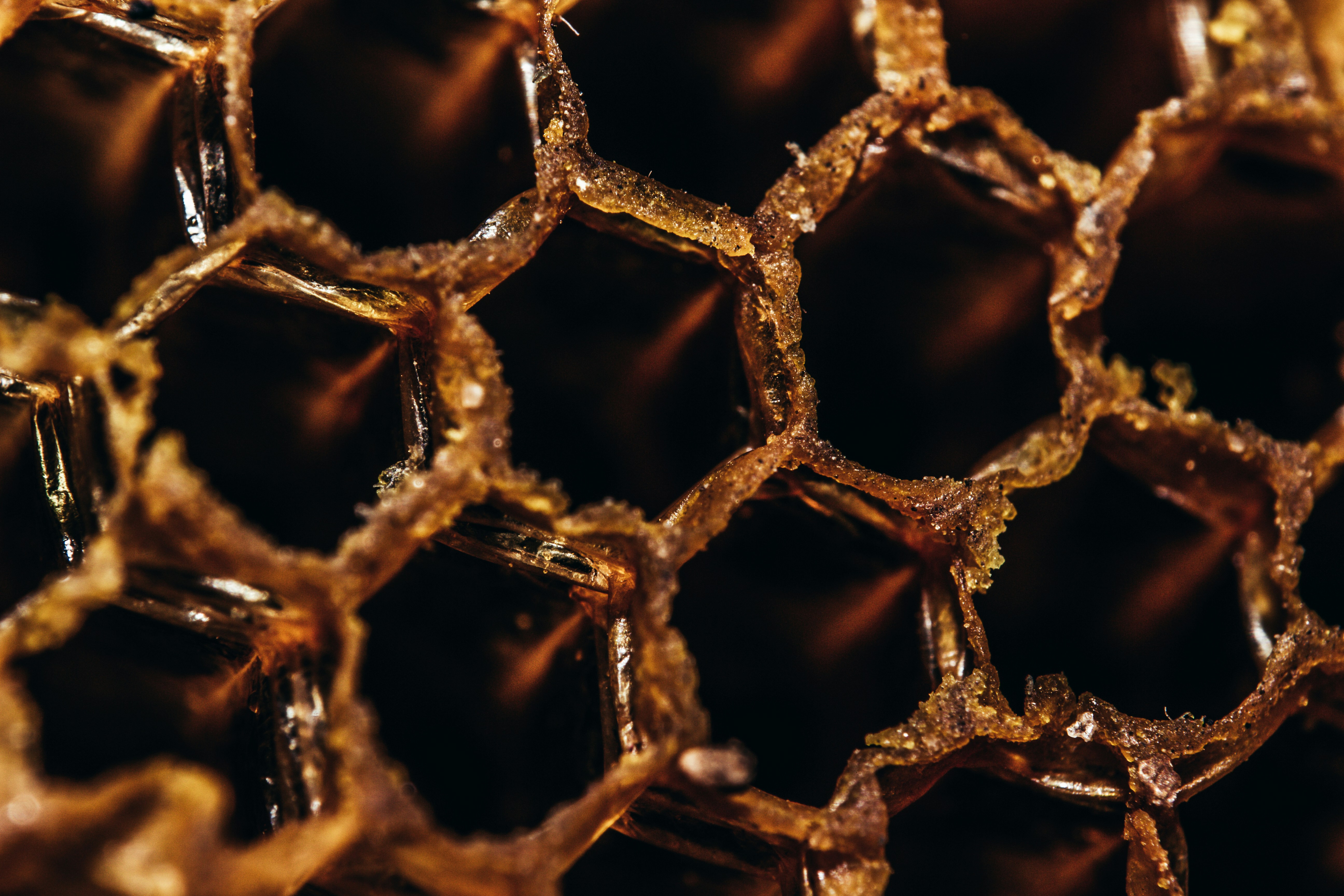 Dark honeycomb close-up